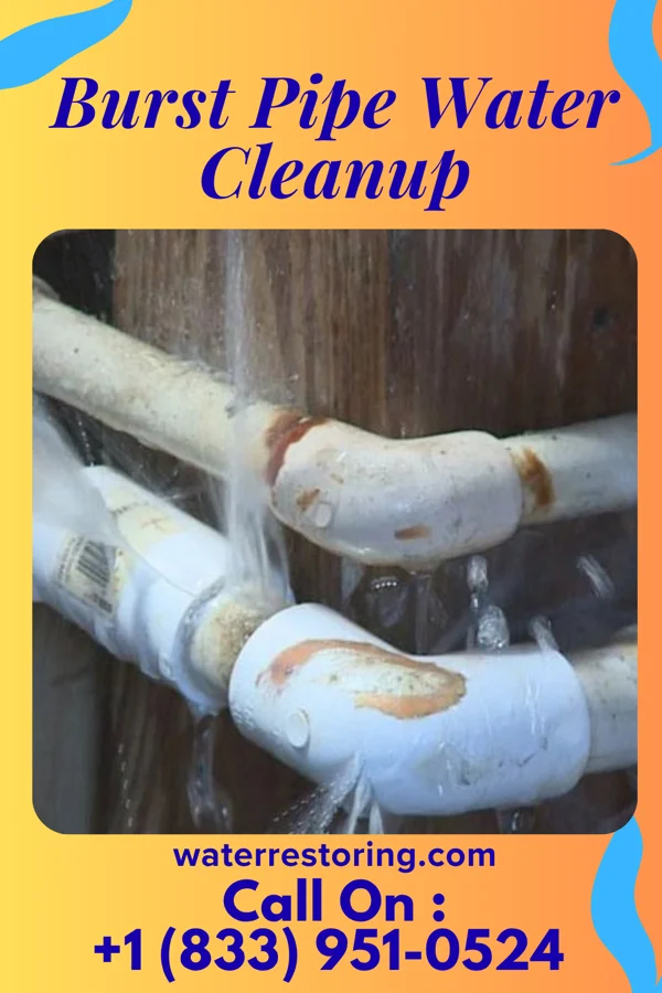 Burst Pipe Water Cleanup in Waite Hill, OH
