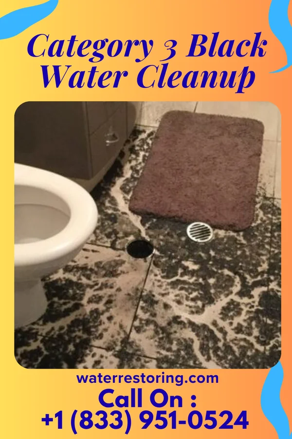 Category 3 Black Water Cleanup in Waite Hill, OH