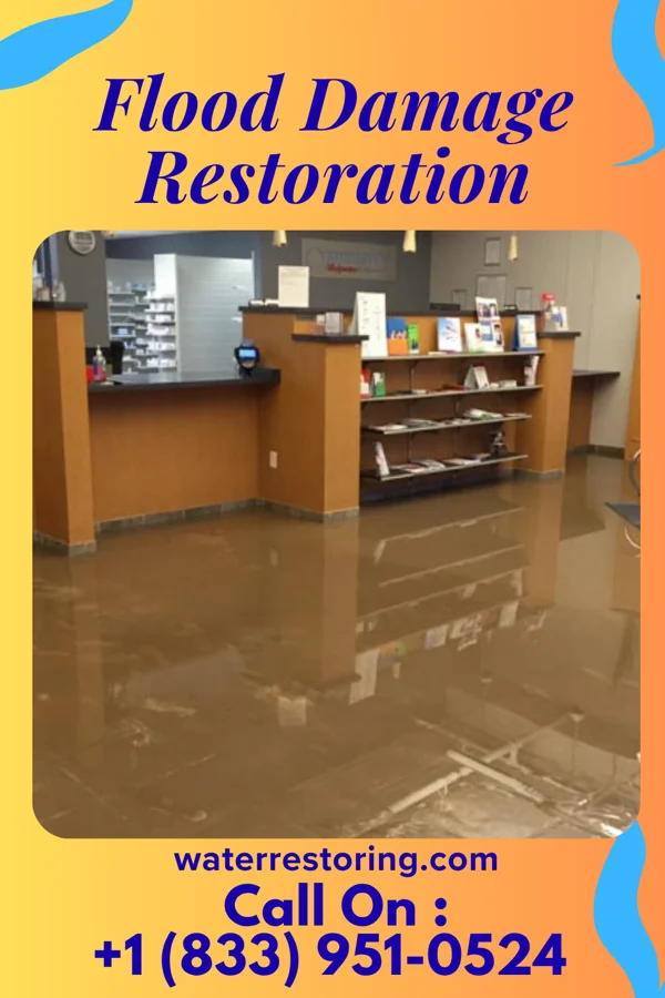 Flood Damage Restoration in Waite Hill, OH