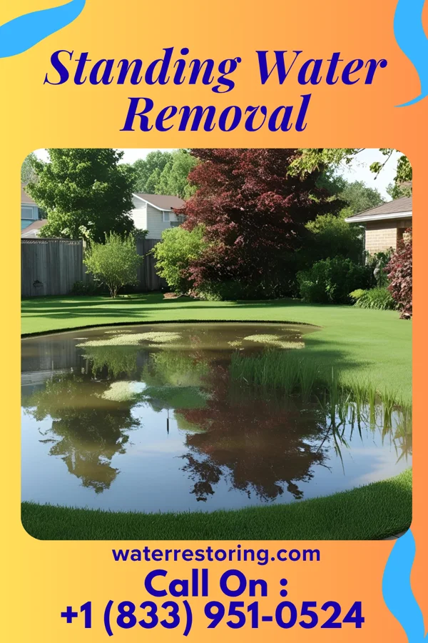 Standing Water Removal in Waite Hill, OH